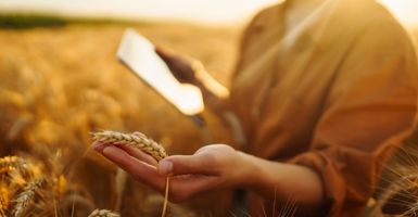 Calcular déficit de agua: cómo los sensores IoT ayudan a optimizar el riego