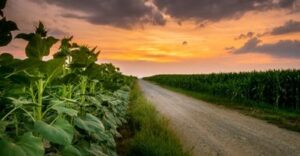 Soluciones para automatizar la predicción de la presión atmosférica en agricultura y meteorología con sensores IOT, en ALAI SECURE